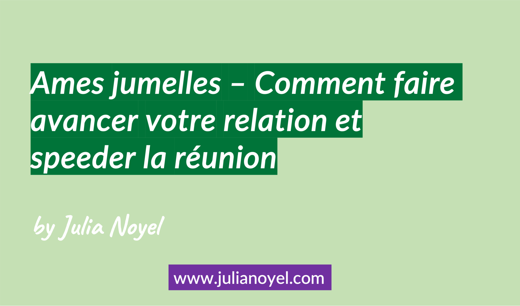 Ames jumelles – Comment faire avancer votre relation et speeder la réunion by Julia Noyel