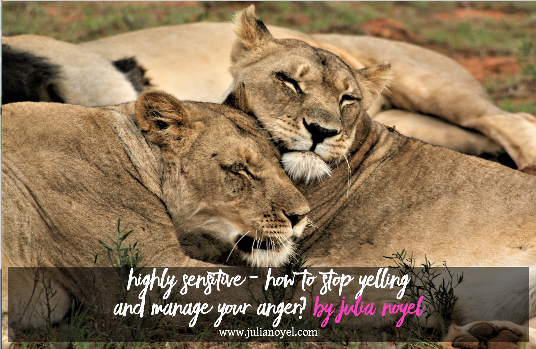 Highly sensitive - How to stop yelling and manage your anger By Julia Noyel