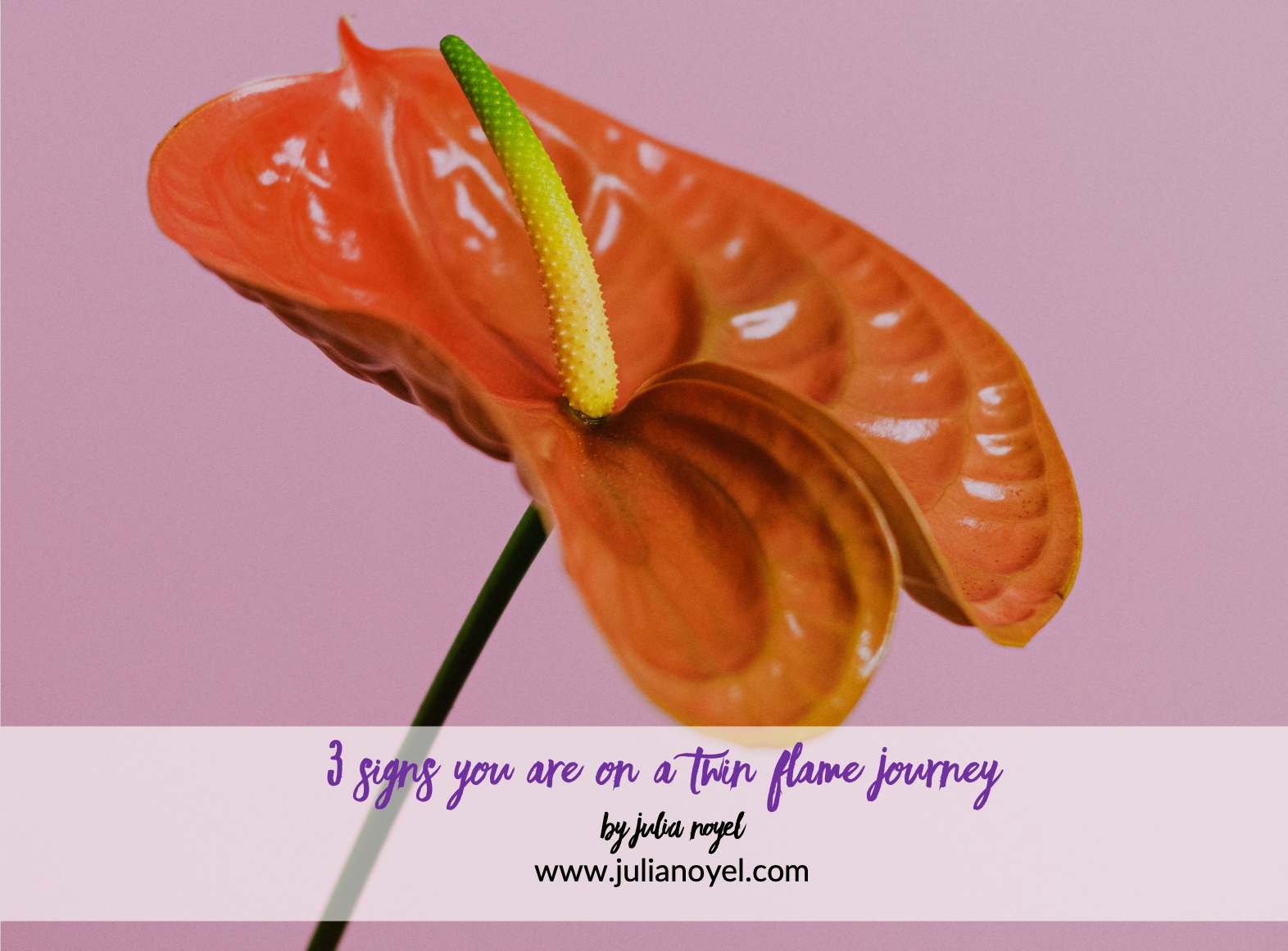 3 signs you are on a twin flame journey