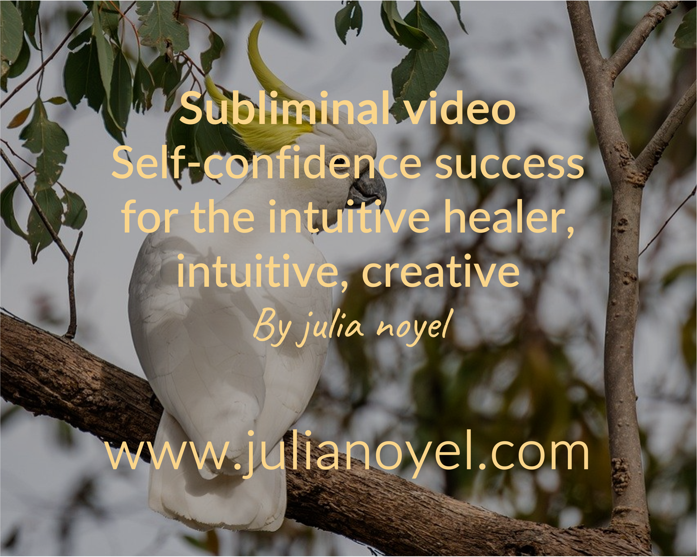 subliminal video self-confidence intuitive healer intuitive