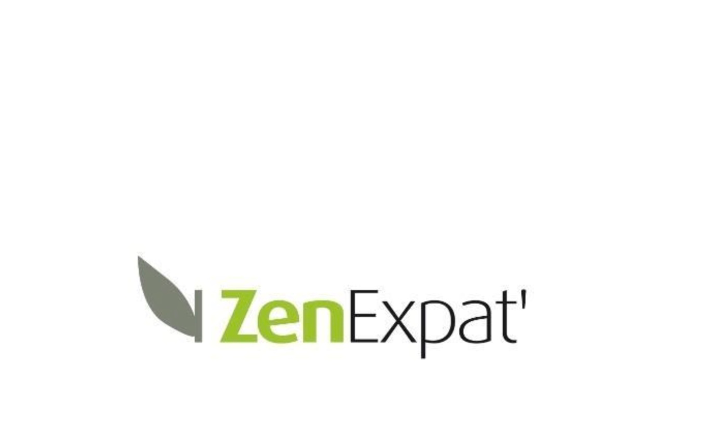 ZenExpat coaching consulting expatriate Lyon France