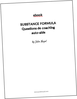 ebook SUBSTANCE Formula questions de coaching